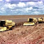 agricultura_03