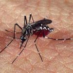 Mortes por dengue no Rio aniquilam o messianismo de Lula e escancaram a ousadia de Cabral Filho