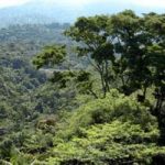 Nova reunião sobre Código Florestal será feita na terça-feira antes da votação em plenário