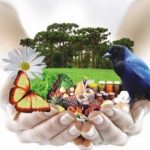 codigo_florestal_05