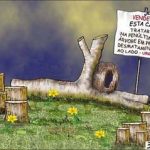 codigo_florestal_08 (bessinha)
