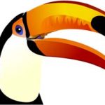 tucano_04