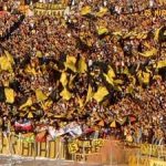 penarol_02