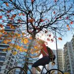 Medo de acidentes e transpiração impedem paulistanos de ir ao trabalho de bicicleta