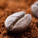 Pesquisadores tentam salvar o café das mudanças climáticas