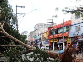 São Paulo enfrenta ventos de quase 100 km/h nesta quarta-feira; Congonhas cancelou 167 voos